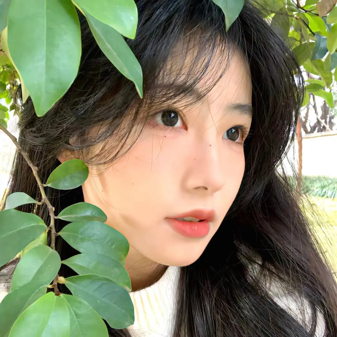 无光岁月